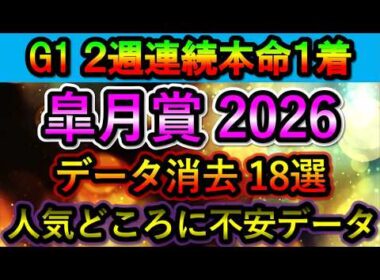 皐月賞2026 【消去データ18選】　人気どころに不安データ