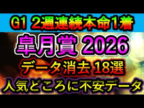 皐月賞2026 【消去データ18選】　人気どころに不安データ