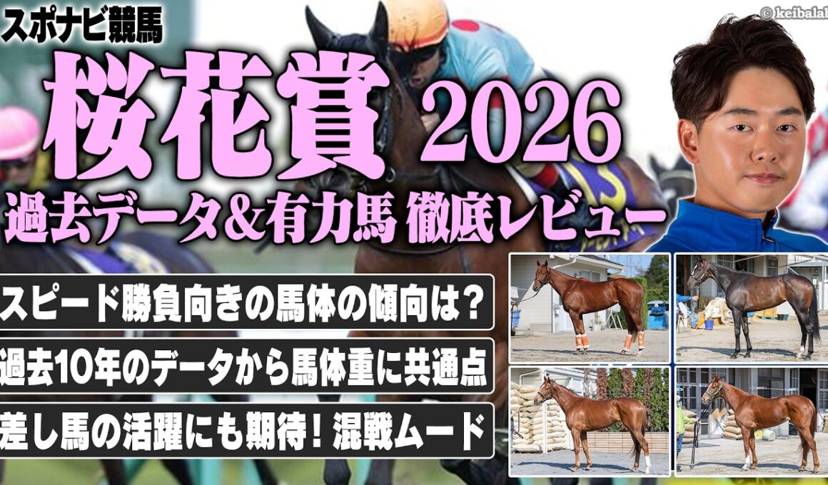 【桜花賞2026】有力馬が揃ったスピードレースは混戦ムード！？過去10年のデータから勝ち馬の馬体重に共通点！スターアニス ドリームコア フェスティバルヒル ギャラボーグなど【レース展望／スポナビ競馬】