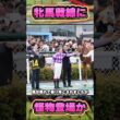 【忘れな草賞2026】牝馬クラシックも盛り上げそうな馬が登場！　#shorts #競馬 #競馬予想 #中央競馬予想 #馬 #桜花賞 #オークス #優駿牝馬 #今村聖奈 #ジュウリョクピエロ