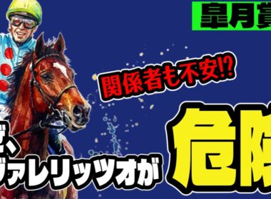 【皐月賞2026】なぜ、カヴァレリッツォが本番で勝てないのか？【競馬予想】