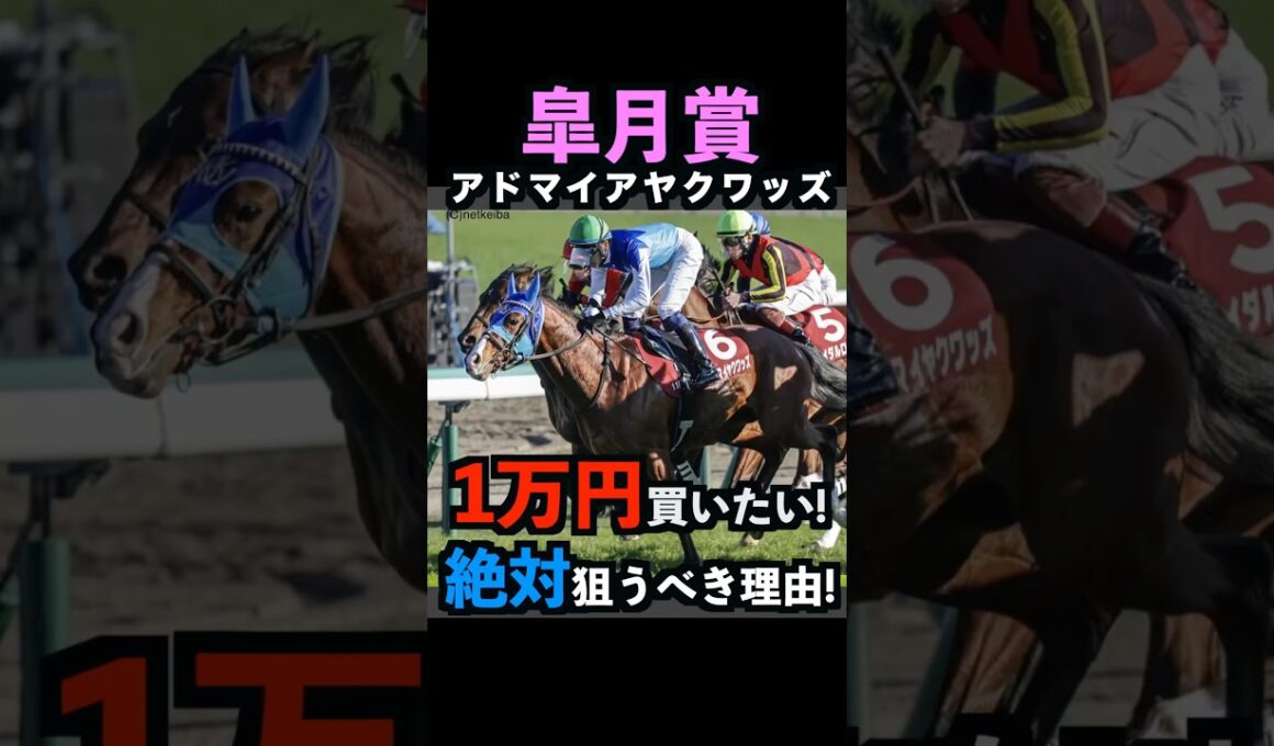 【皐月賞2026】1万円買いたい！絶対に狙うべき理由！#皐月賞2026 #皐月賞 #皐月賞2026予想 #アドマイヤクワッズ #ロブチェン #競馬予想  #競馬予想tv #shorts