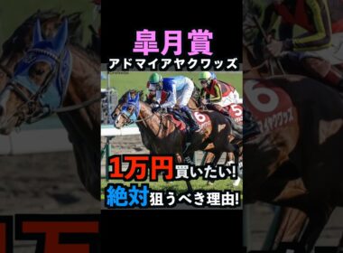 【皐月賞2026】1万円買いたい！絶対に狙うべき理由！#皐月賞2026 #皐月賞 #皐月賞2026予想 #アドマイヤクワッズ #ロブチェン #競馬予想  #競馬予想tv #shorts