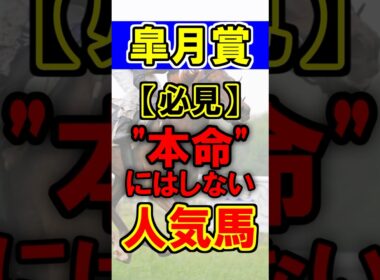 【皐月賞】本命にしない人気馬！#競馬 #競馬予想 #皐月賞 #shorts