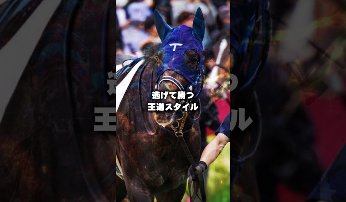 【皐月賞2026予想】皐月賞の個人的有力馬3頭を紹介！