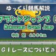 ゆっくりG1レース解説㉖　中山グランドジャンプ