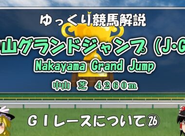 ゆっくりG1レース解説㉖　中山グランドジャンプ
