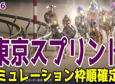 【東京スプリント2026・予想】シミュレーション枠順確定版 スプリンターズS覇者ママコチャは7枠13番！JBCスプリント覇者ファーンヒルは5枠8番！重賞3勝を挙げているヤマニンチェルキなどが出走予定