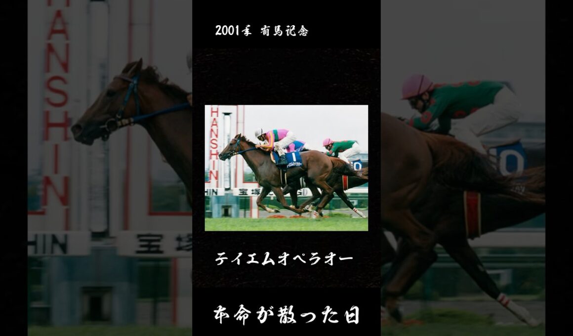 ラストランで、時代が変わった【2001年　有馬記念】#競馬 #有馬記念 #テイエムオペラオー #メイショウドトウ #マンハッタンカフェ #一番人気が飛んだレース