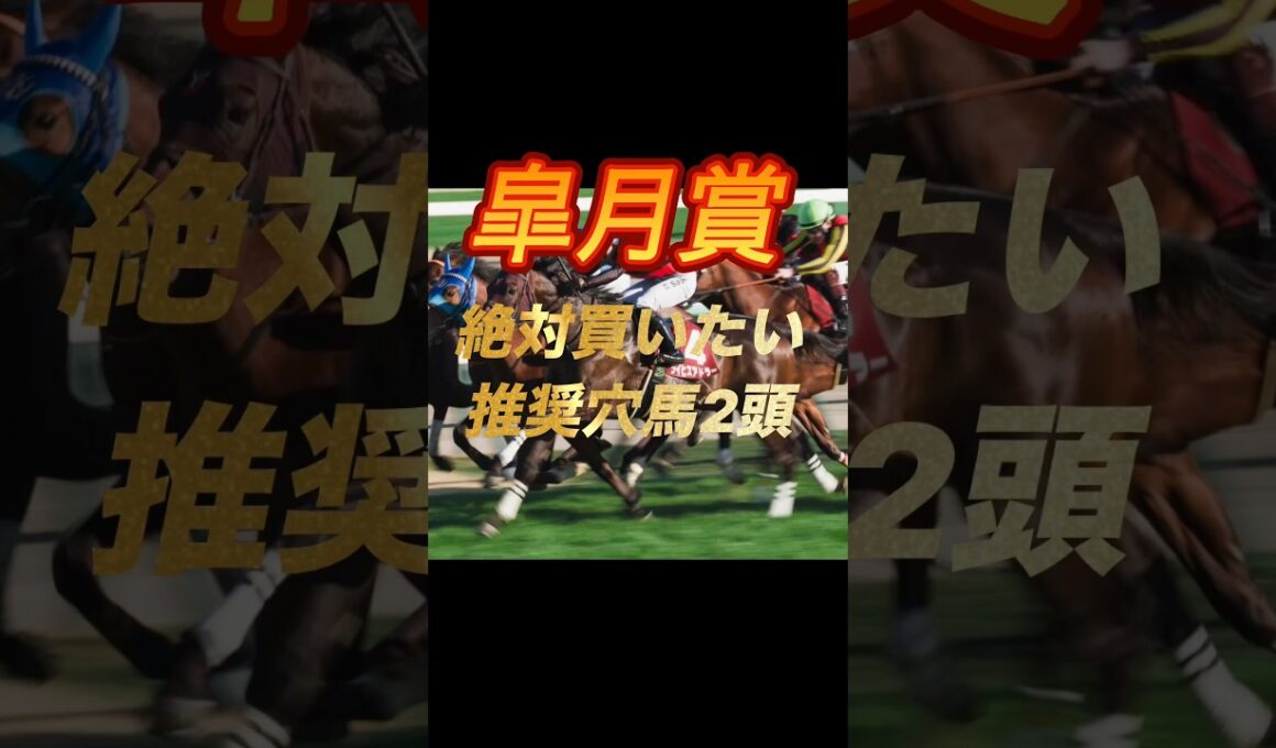 皐月賞2026 絶対買いたい推奨穴馬2頭紹介