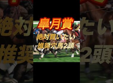 皐月賞2026 絶対買いたい推奨穴馬2頭紹介