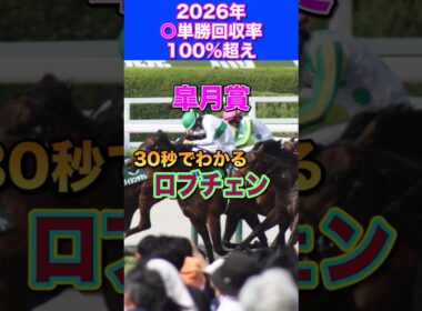 【皐月賞2026】30秒でわかるロブチェン