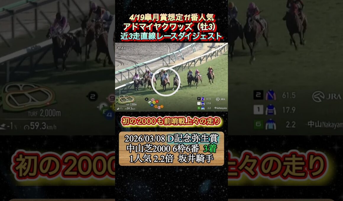 【アドマイヤクワッズ】 皐月賞想定11番人気！近3走ダイジェスト　#競馬  #皐月賞  #アドマイヤクワッズ  #坂井瑠星  #shorts