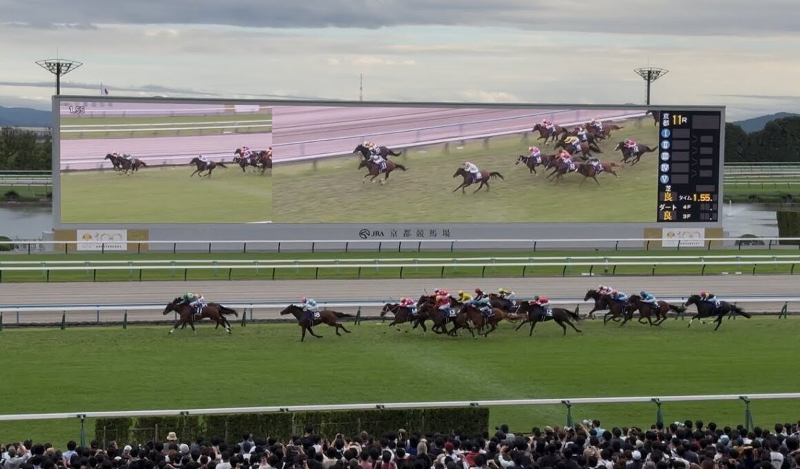 【現地】2025年 秋華賞 エンブロイダリー 二冠達成 ルメール