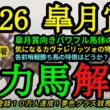 【有力馬解説】2026皐月賞！カヴァレリッツォの気になる点！パワフルな馬体の穴馬とは！？