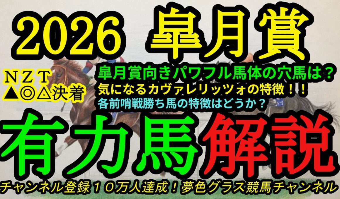 【有力馬解説】2026皐月賞！カヴァレリッツォの気になる点！パワフルな馬体の穴馬とは！？