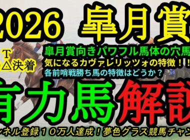 【有力馬解説】2026皐月賞！カヴァレリッツォの気になる点！パワフルな馬体の穴馬とは！？