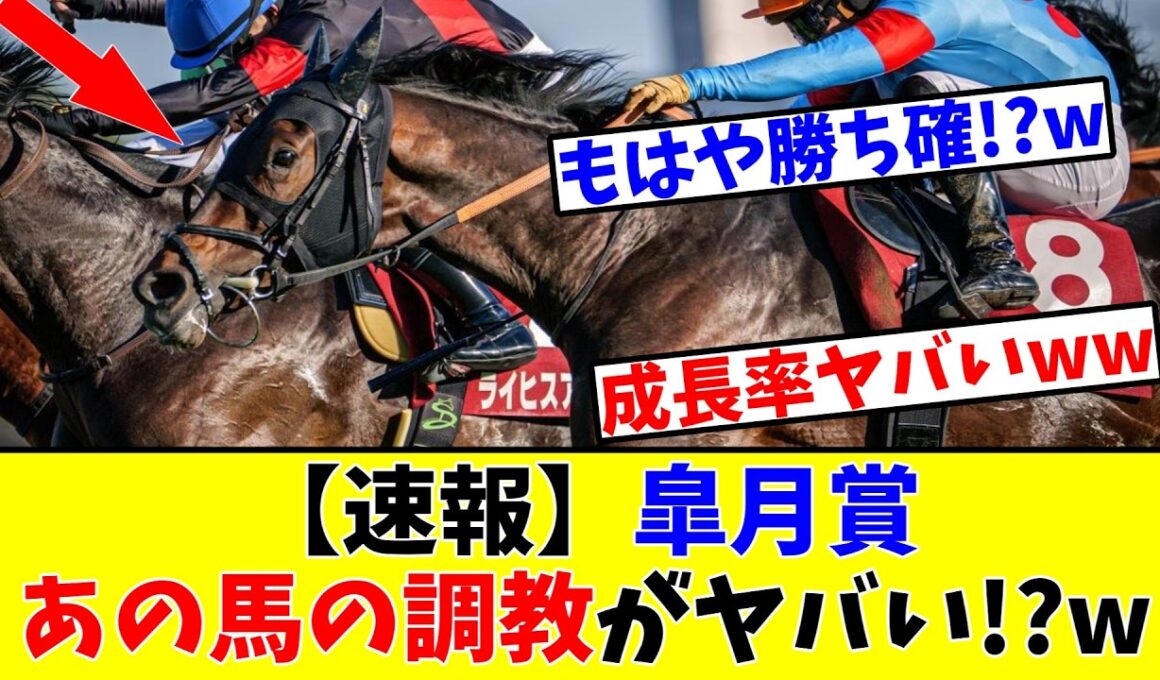 【皐月賞】【速報】あの馬の調教がヤバい!?www