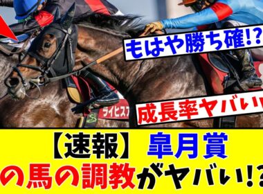 【皐月賞】【速報】あの馬の調教がヤバい!?www