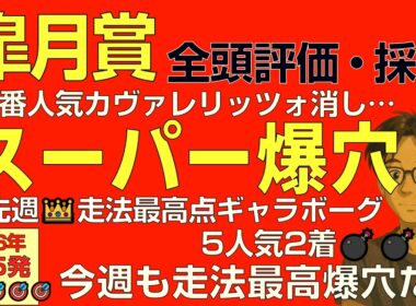皐月賞2026スーパー爆穴！「先週💣走法最高点ギャラボーグ5人気2着に続き走法最高点爆穴だ！」