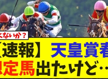 【速報】天皇賞春の想定馬出たけど…【競馬】