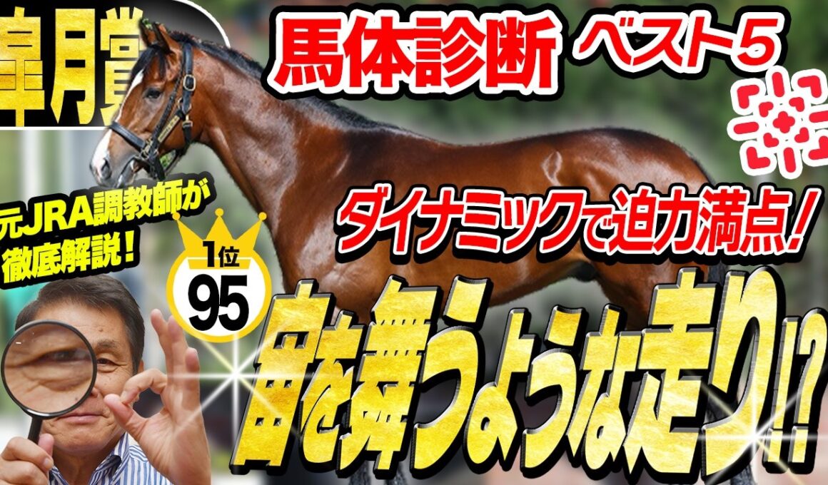 【皐月賞2026】1位と2位の「0.5点」の差とは！？中村均元調教師が馬体診断ベスト５を発表 ！《東スポ競馬》