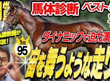 【皐月賞2026】1位と2位の「0.5点」の差とは！？中村均元調教師が馬体診断ベスト５を発表 ！《東スポ競馬》