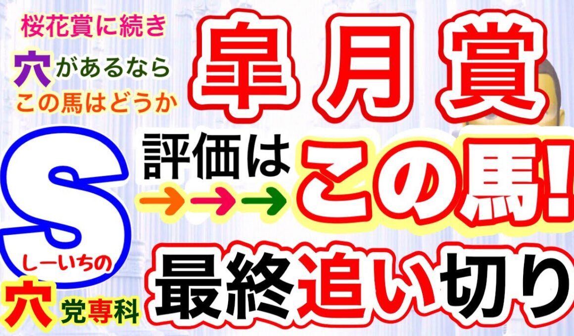 【皐月賞2026】穴党専科しーいちの最終追い切り評価、穴を狙っていきたいですが！皆さまはどんな所を見て判断しますか？私は〇〇を中心に
