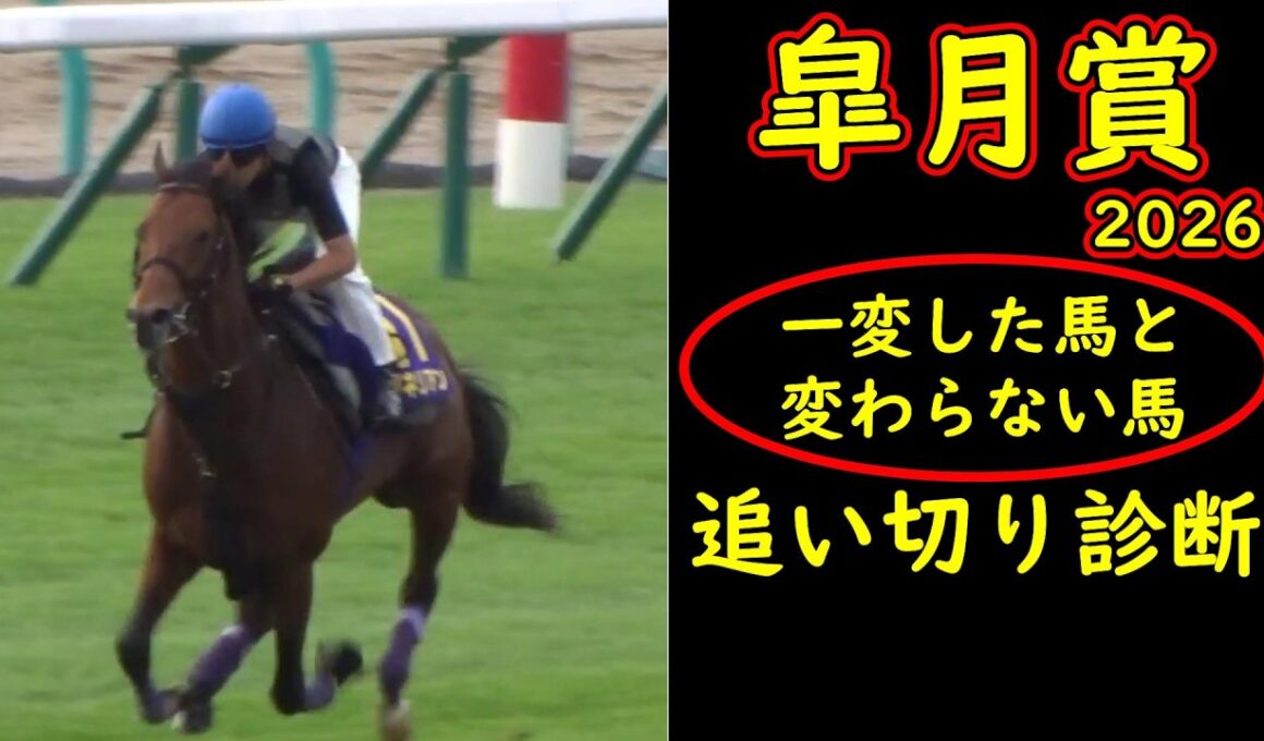 【皐月賞2026】追い切り診断で評価激変｜状態で明暗が分かれた全頭チェックと好走条件の本質