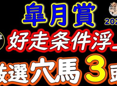【皐月賞2026】人気は飾り！厳選穴馬3頭が浮上する理由｜中山2000m・Cコース替わりで評価が逆転する条件を徹底解説