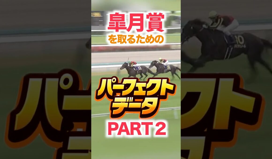 皐月賞（GⅠ）  【パーフェクトデータ】PART 2
