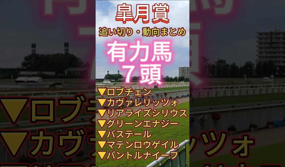 【皐月賞 2026】　１週前追い切りまとめ #競馬予想 #皐月賞 #ロブチェン #追い切り