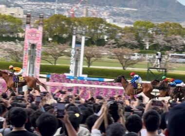 【２歳女王の貫禄】2026年 桜花賞 スターアニス  松山弘平 現地映像 ファンファーレ〜ウイニングラン