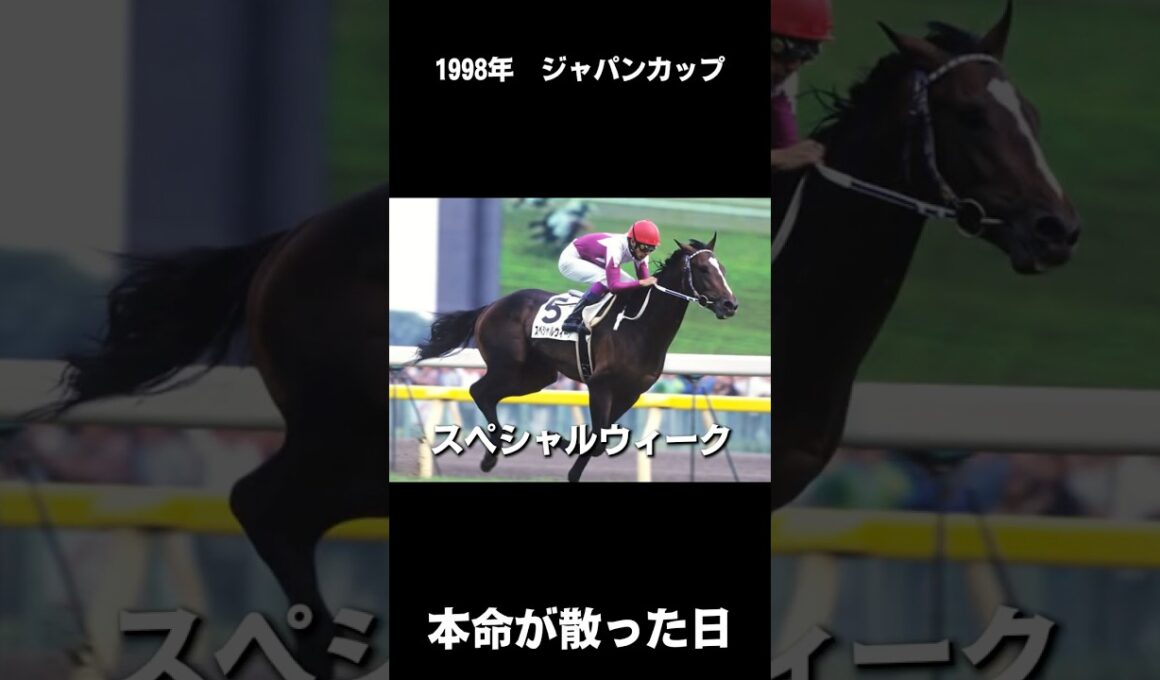 主役のはずでした。【1998年 ジャパンカップ】#競馬 #ジャパンカップ #スペシャルウィーク #エルコンドルパサー #エアグルーヴ #一番人気が飛んだレース #名馬
