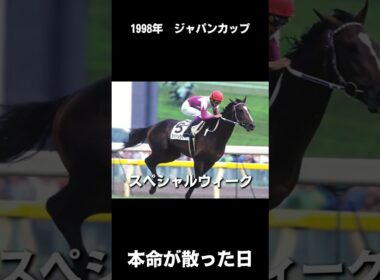 主役のはずでした。【1998年 ジャパンカップ】#競馬 #ジャパンカップ #スペシャルウィーク #エルコンドルパサー #エアグルーヴ #一番人気が飛んだレース #名馬