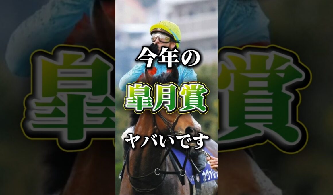 クラシック三冠の始まり！今年の皐月賞の個人的注目馬発表！#競馬 #競馬予想 #中央競馬予想 #皐月賞 #皐月賞2026 #皐月賞2026予想 #注目馬発表#注目馬 #gi #giレース #本命馬