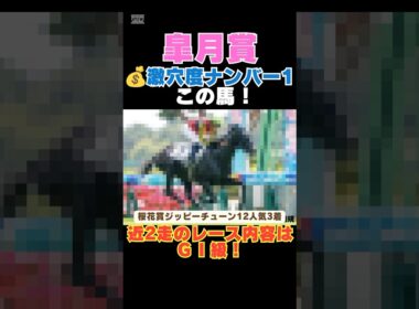 【皐月賞2026】激穴度ナンバー1はこの馬💰近2走のレース内容はＧⅠ級！