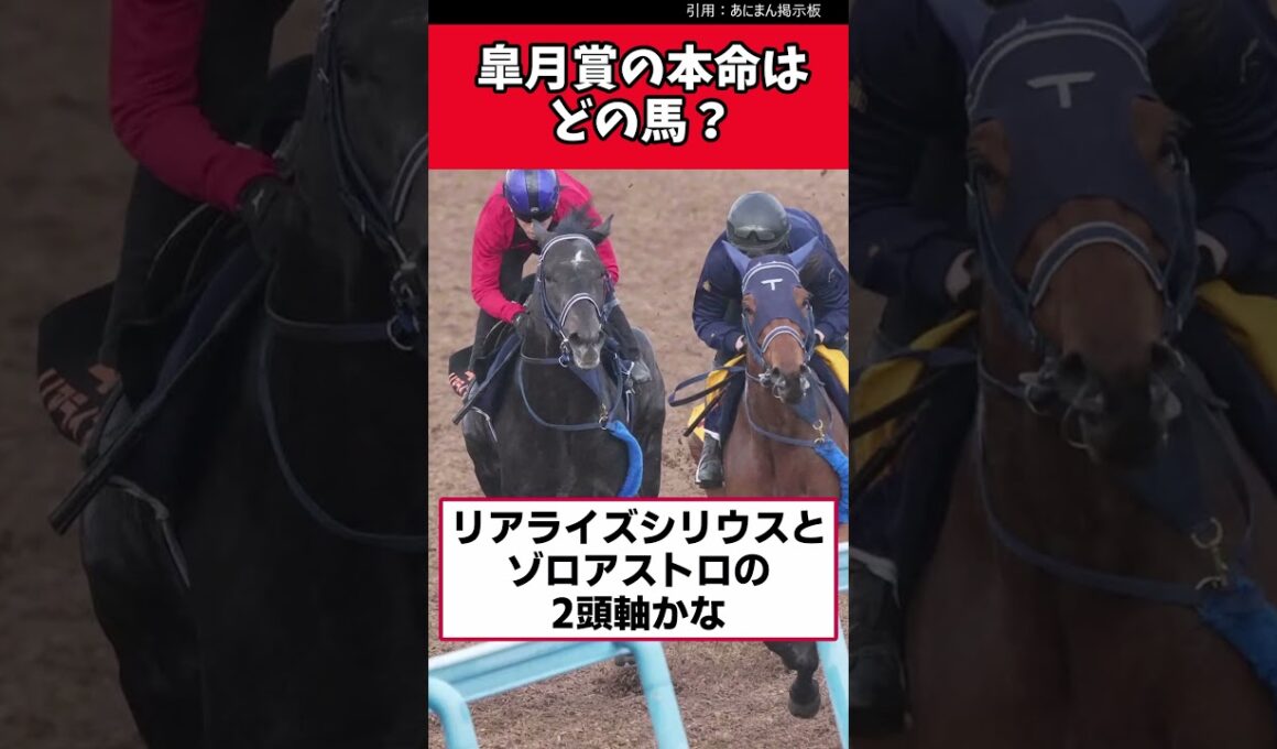皐月賞の本命はどの馬？【競馬反応集】　＃皐月賞