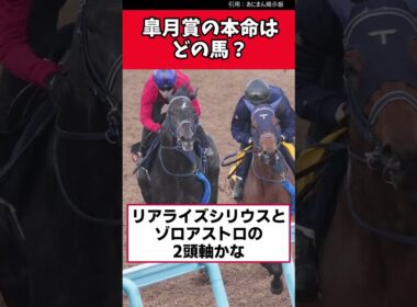皐月賞の本命はどの馬？【競馬反応集】　＃皐月賞
