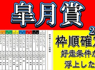 皐月賞2026枠順確定｜外枠壊滅か内有利か…構造が変わった瞬間。追い切りで差がついた馬と消える人気馬