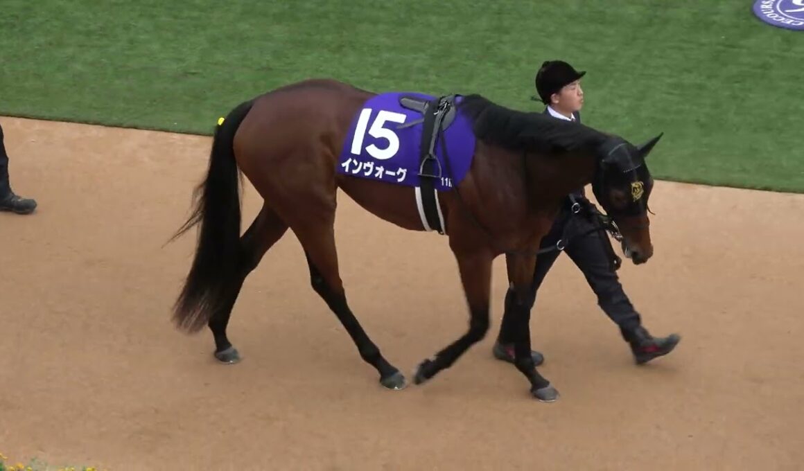 【秋華賞2025】全頭パドック 現地映像 ⑪エンブロイダリー