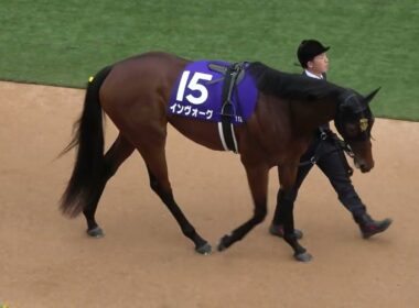 【秋華賞2025】全頭パドック 現地映像 ⑪エンブロイダリー