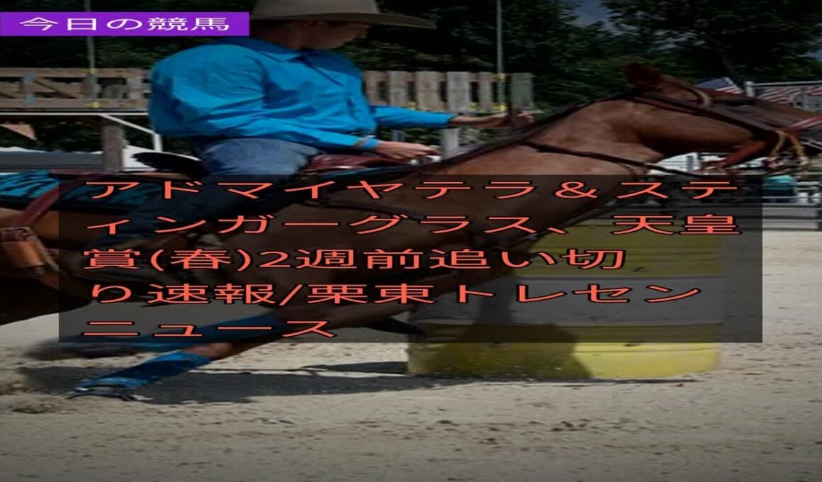 【競馬速報】2026/4/16 アドマイヤテラ＆スティンガーグラス、天皇賞(春)2週前追い切り速報/栗東トレセンニュース #Shorts