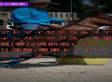 【競馬速報】2026/4/16 アドマイヤテラ＆スティンガーグラス、天皇賞(春)2週前追い切り速報/栗東トレセンニュース #Shorts