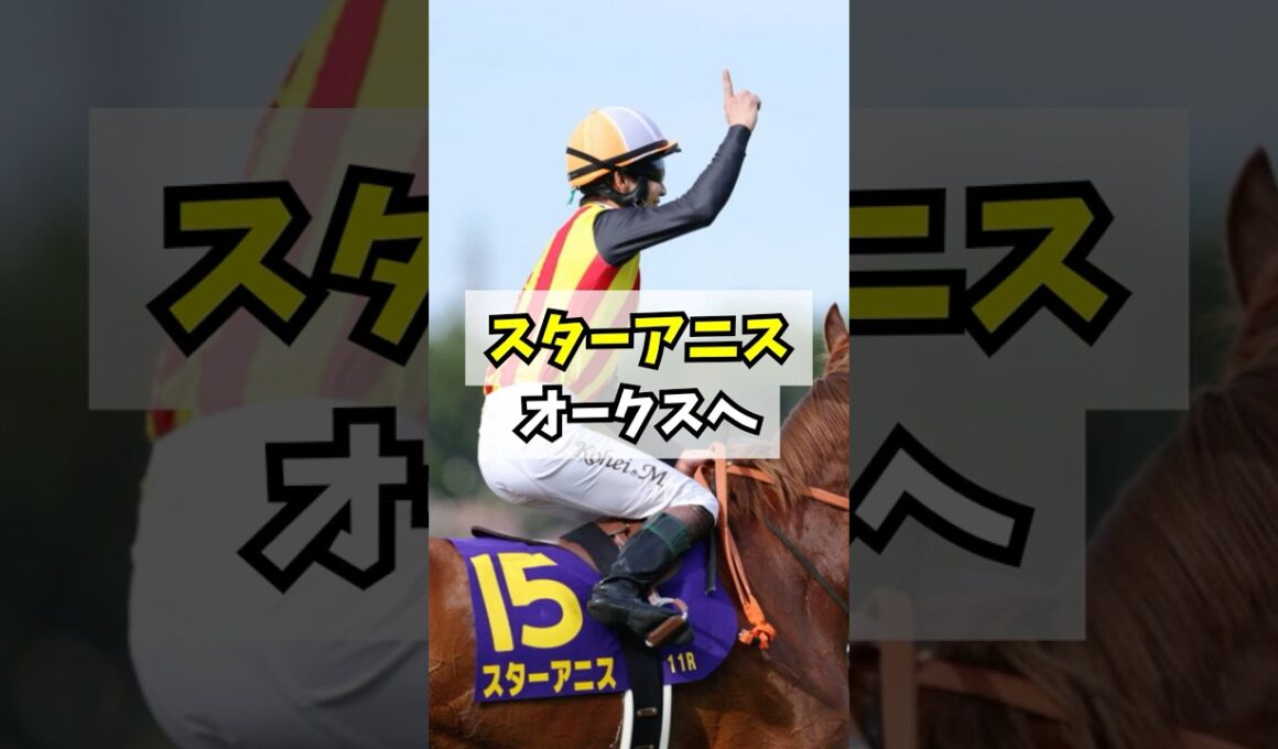 桜花賞馬スターアニス、次走オークスに決定と話題になっている #shorts