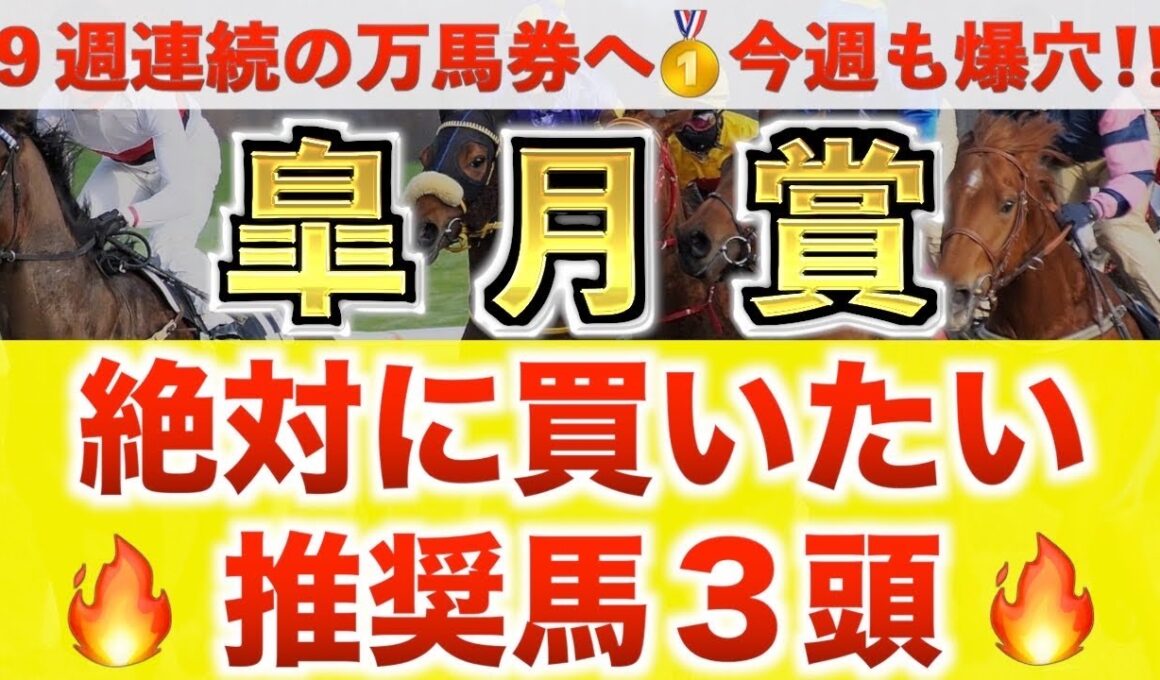 【皐月賞2026 予想】ロブチェン過去最高のデキ？プロが"全頭診断"から導く絶好の3頭！