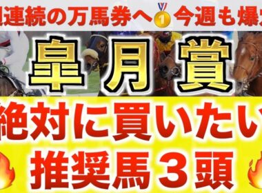【皐月賞2026 予想】ロブチェン過去最高のデキ？プロが"全頭診断"から導く絶好の3頭！