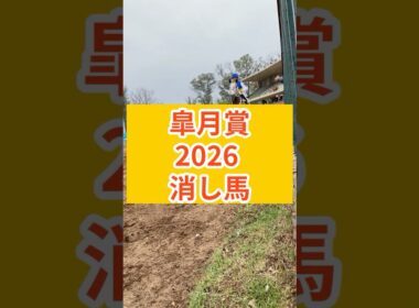『皐月賞』消し馬#皐月賞 #皐月賞2026 #リアライズシリウス #バステール #カヴァレリッツォ #ロブチェン #マテンロウゲイル #アドマイヤクワッズ #ゾロアストロ #グリーンエナジー