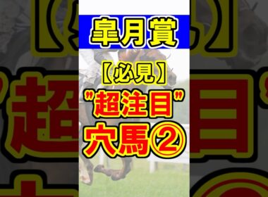 【皐月賞】超注目の穴馬②！ #競馬 #競馬予想 #皐月賞 #shorts