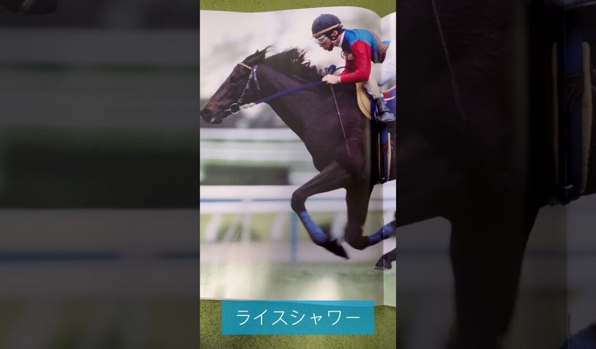 【天皇賞・春】当日のレーシングプログラムから勝ち馬を解け！